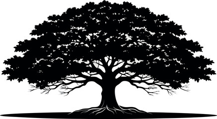 Vector art of a full silhouette of a leafy tree with a broad crown and exposed roots isolated on white background
