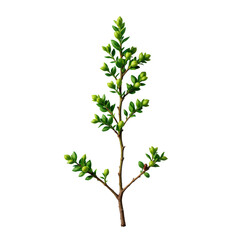 Naklejka premium Realistic Green Leafy Branch with Fresh Foliage on a Transparent Background for Nature Themes