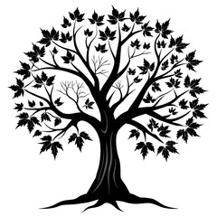 Obraz premium Elegant Maple Tree black Silhouette on white background 