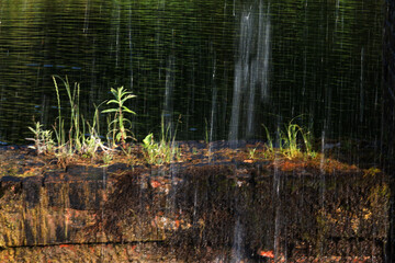 waterfall in the forest, close-up of photo with shallow depth of field