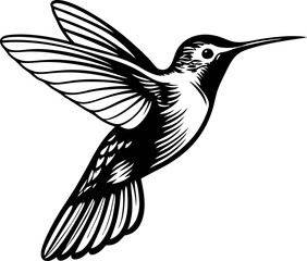 Obraz premium elegant hand drawn hummingbird in flight vintage ink engraving illustration of bird with spread wings isolated on white