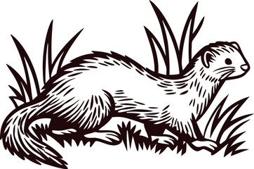 Obraz premium Hand drawn ferret in grass vintage engraved wild animal illustration, nature etching for wildlife design