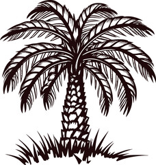 Fototapeta premium Hand drawn palm tree with detailed leaves and textured trunk isolated on white background illustration