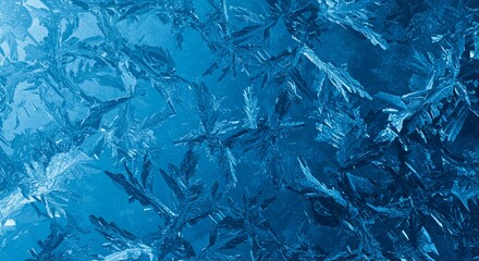 Frost patterns on ice