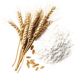 Golden wheat stalks and a pile of flour against a stark black background composition