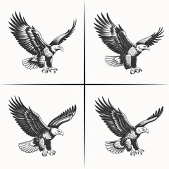 Obraz premium Set of Four Black and White Eagle Illustrations in Flight for Wildlife, Freedom, and Patriotic Themes