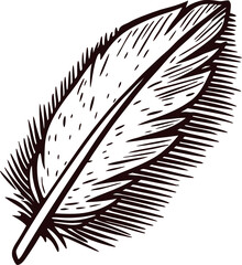 Obraz premium Hand drawn feather illustration in vintage engraving isolated on white background