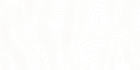White wave paper curved reliefs abstract background Topographic map patterns, topography line map. Vintage outdoors style