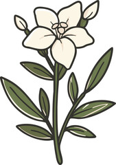 Naklejka premium full-shot of a Oleander icon The background color