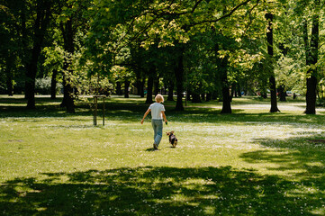 Woman Walking Mixbreed Dog in a Peaceful Green Park