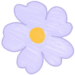 A simple and vibrant purple daisy with a yellow center, suitable for floral collections, spring grap