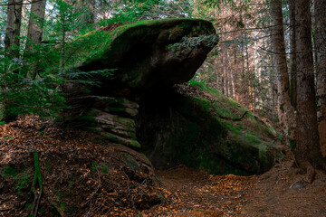 rocks in the woods picturesque natural scene of stone under moss with pine trees forest landscape environment