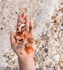 Hand holding seashells on beach, vertical negative space right