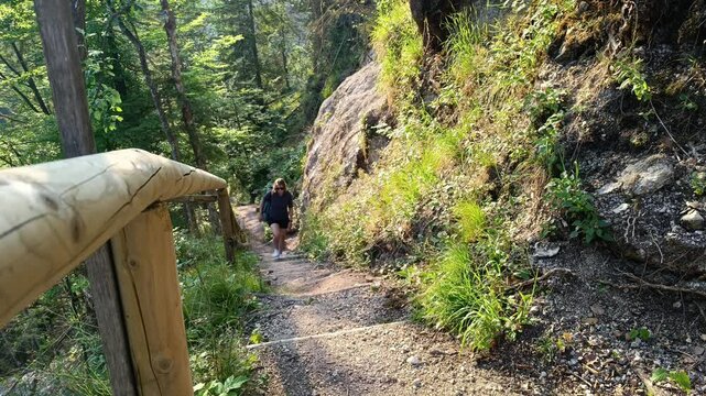 A person navigates a winding hiking trail