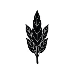 Botanical Illustration of Five Elegant Leaves with Detailed Veins and Stem