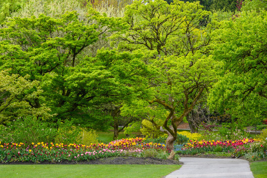 Vibrant spring garden filled with blooming flowers