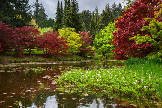 Vibrant fall foliage reflects on calm waters of a serene lake