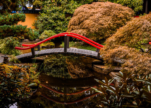 Serene red bridge over tranquil pond in lush garden setting