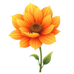 Vibrant orange flower with detailed petals and green leaves isolated on transparent background