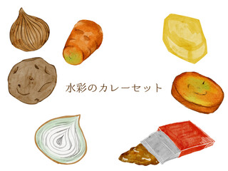 水彩で描いたカレーセット粉末の料理食材の水彩ベクターイラスト素材	一式