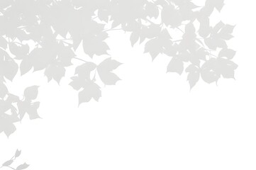 Natural shadow of tree branch isolated on white. Natural plant leaf shadow overlay light effect