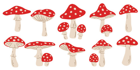 Hand drawn Agaric Mushrooms. Amanita Muscaria