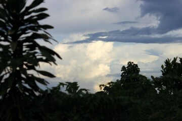 Obraz premium Evening sky with dramatic clouds and tree silhouettes in the foreground. Peaceful natural landscape.