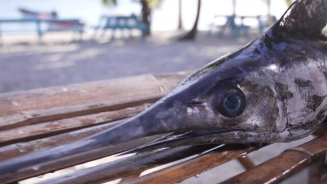 A swordfish on a bamboo table by the beach