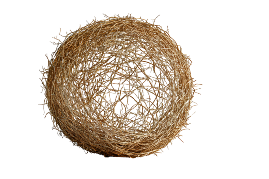 Abstract orb composed of interwoven brown strands against a stark black background