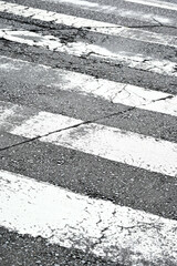 横断歩道