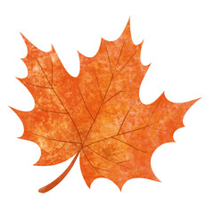Fototapeta premium Watercolor Illustration of Autumn Leaves