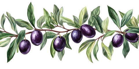 Elegant watercolor painting of olive branch with green leaves and black olives