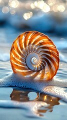Spiral shell rests on sunlit, bubbly ocean shore.