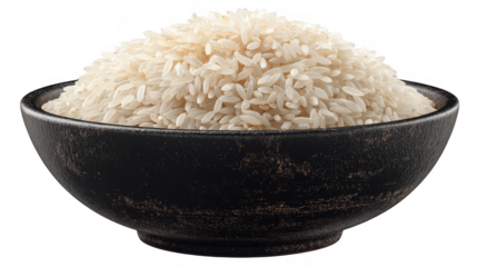 Illustration of bowl of white rice isolated on transparent background