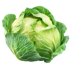 Obraz premium Fresh green cabbage head with leaves isolated on black background image