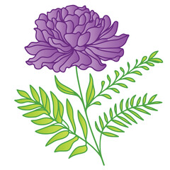 fine line drawing of flower and leaves in a modern botanical format for wedding paper and textile use

