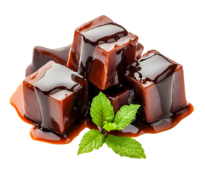 Delicious dark chocolate fudge cubes with rich sauce and fresh mint garnish
