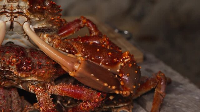 A pile of fresh crabs in a container