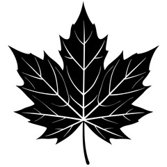maple leaf vector