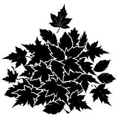 autumn leaves background
