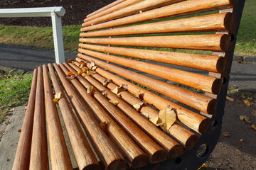 wooden bench in the park with autumn leaves