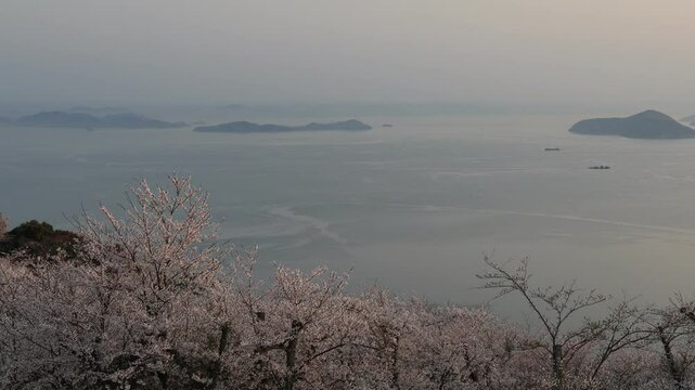 香川県は紫雲出山からの春の絶景