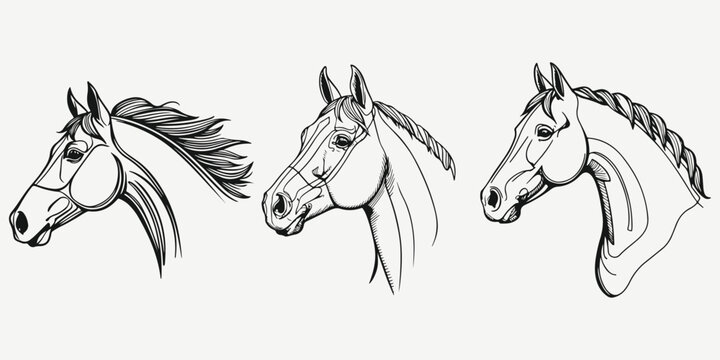 馬のスケッチ」の写真素材 | 171,691件の無料イラスト画像 | Adobe Stock