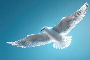 Fototapeta premium A white seagull soaring against a light blue sky.
