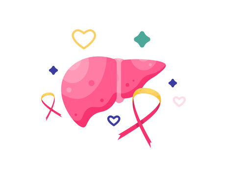 concept of awareness and concern for liver health. illustration of liver organ with red and yellow ribbon and heart symbol. flat style design. asset element. world hepatitis day