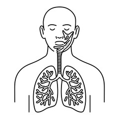human anatomy of human body