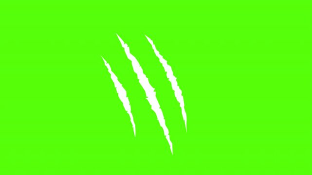 Animal claw scratches, tiger, dog, lion, monster, scratches, talons cuts cat