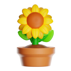 Obraz premium 3d sunflower growing in pot with transparent background