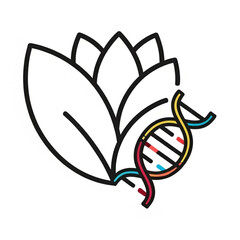 black and white butterfly