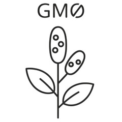 butterfly vector illustration